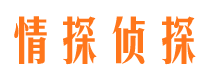 元江市婚外情调查